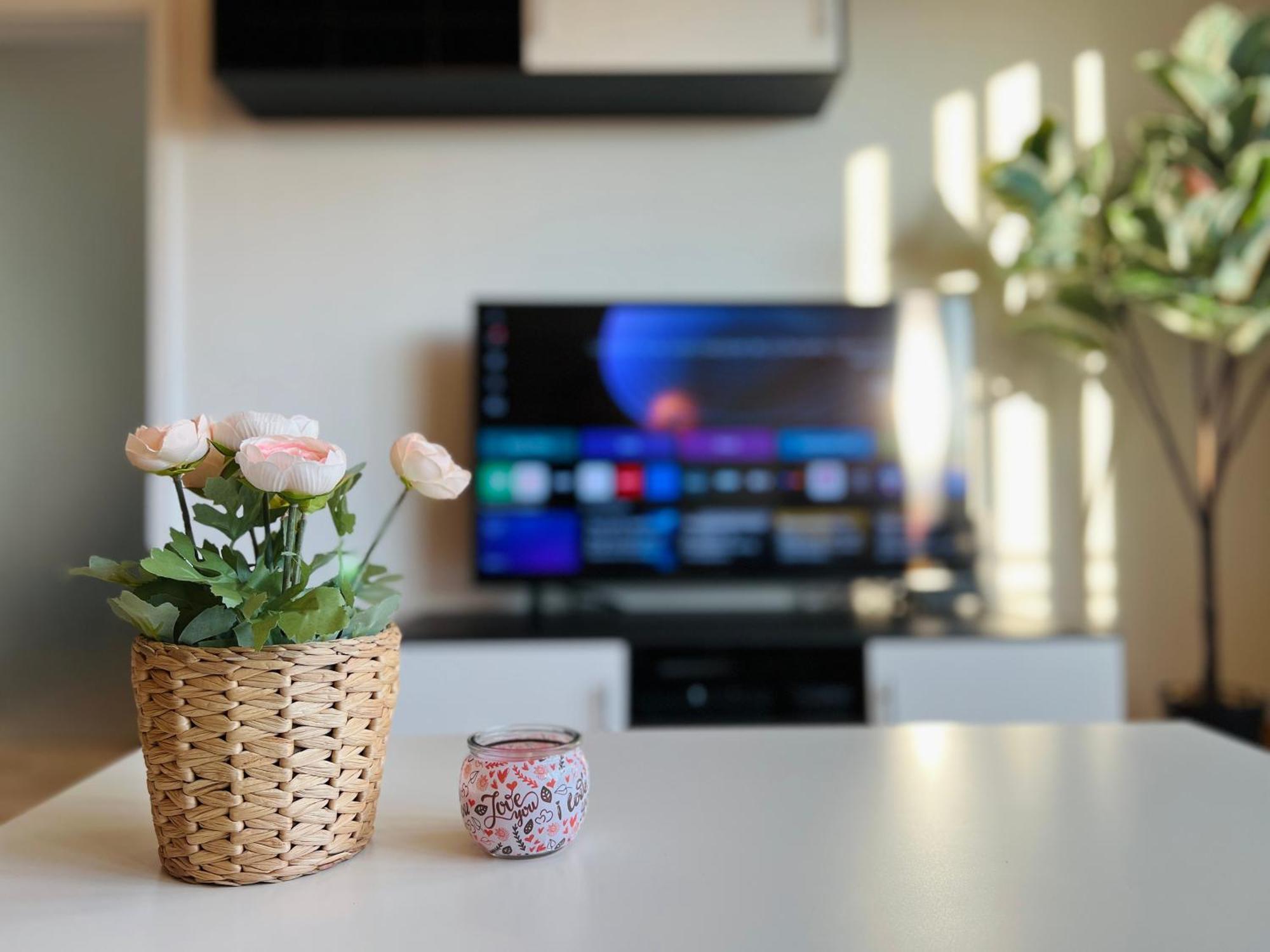 Stariva - Terrasse Ueber Dresden - Kaffeemachine - Netflix - Playstation - Brettspiele Lägenhet Exteriör bild